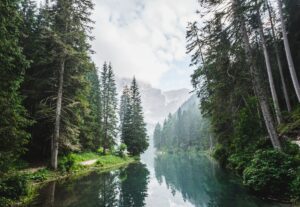 India's Forest Cover — ISFR 2023 Quick Facts for CLAT GK