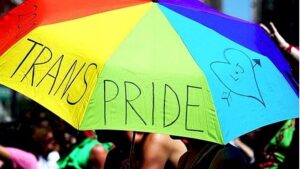 Transgender Persons Amendment Bill 2026: NALSA Judgment, Constitutional Rights and Protests Explained