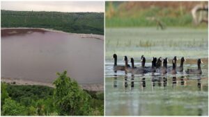 Maharashtra Scraps 14 Lake Conservation Projects: Public Trust Doctrine & Wetlands Law — CLAT 2027 Analysis