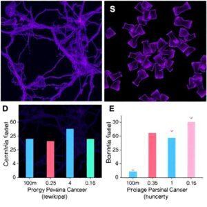 CDKN1B Gene Discovery: Why Breast Cancer Therapy Fails — Right to Health & CLAT 2027 Analysis