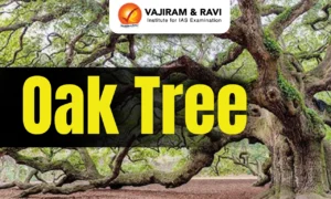 Iran Energy Shock, Food Prices, and Himalayan Oak Trees: Art. 48A, Forest Conservation Act, and Environmental Law for CLAT