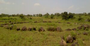 Virli Khandar Megalithic Burials in Vidarbha: Iron Age Stone Circles, ASI and Article 49