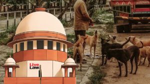 SC Stray Dogs Ruling — Art 21 vs ABC Rules 2023 (May 2026)