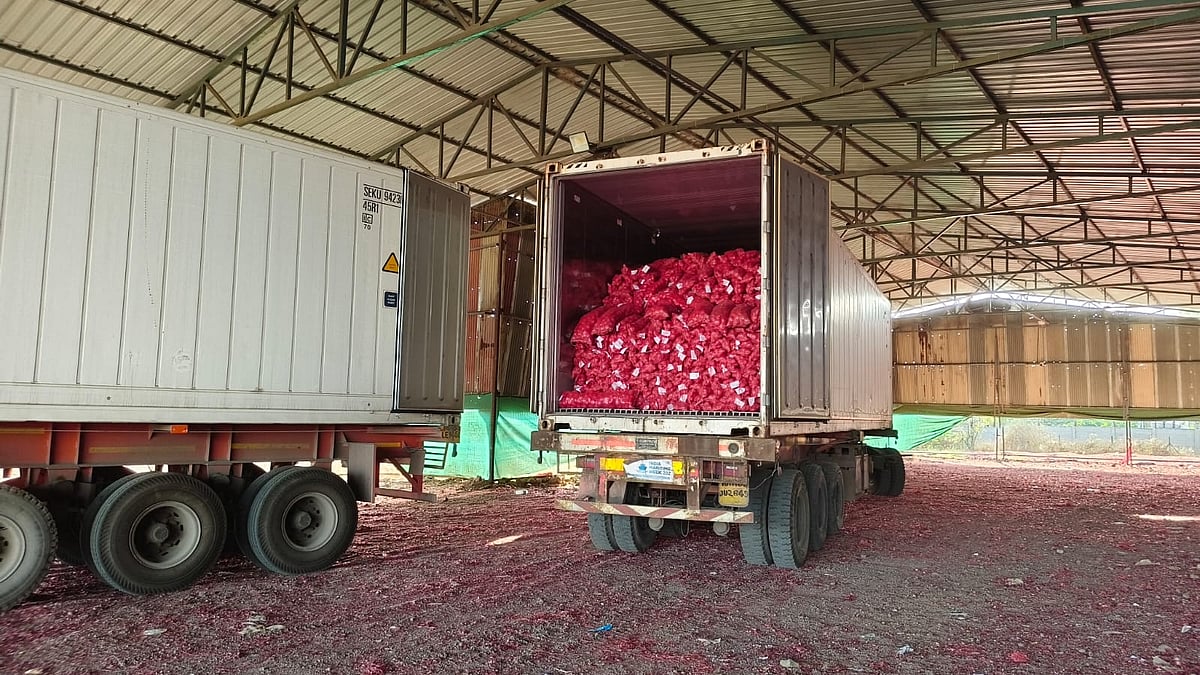 Centre begins onion procurement via NAFED and NCCF