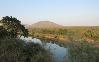 Forest river landscape inside Kuno National Park
