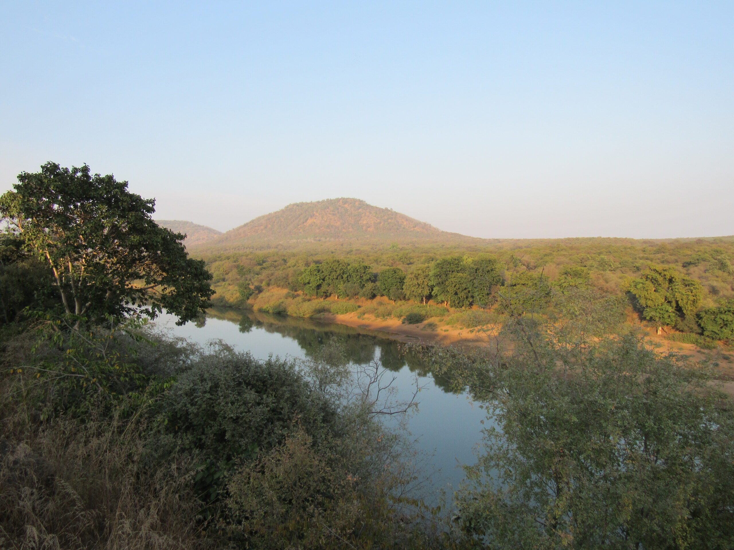 Forest river landscape inside Kuno National Park