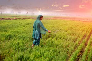 India Faces a 1991 Moment: Rupee, Fertilizer Subsidy & the DBT Brahmastra — CLAT 2027
