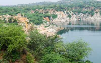 Aravalli ridge ecosystem with native flora and water body in Asola Bhatti landscape