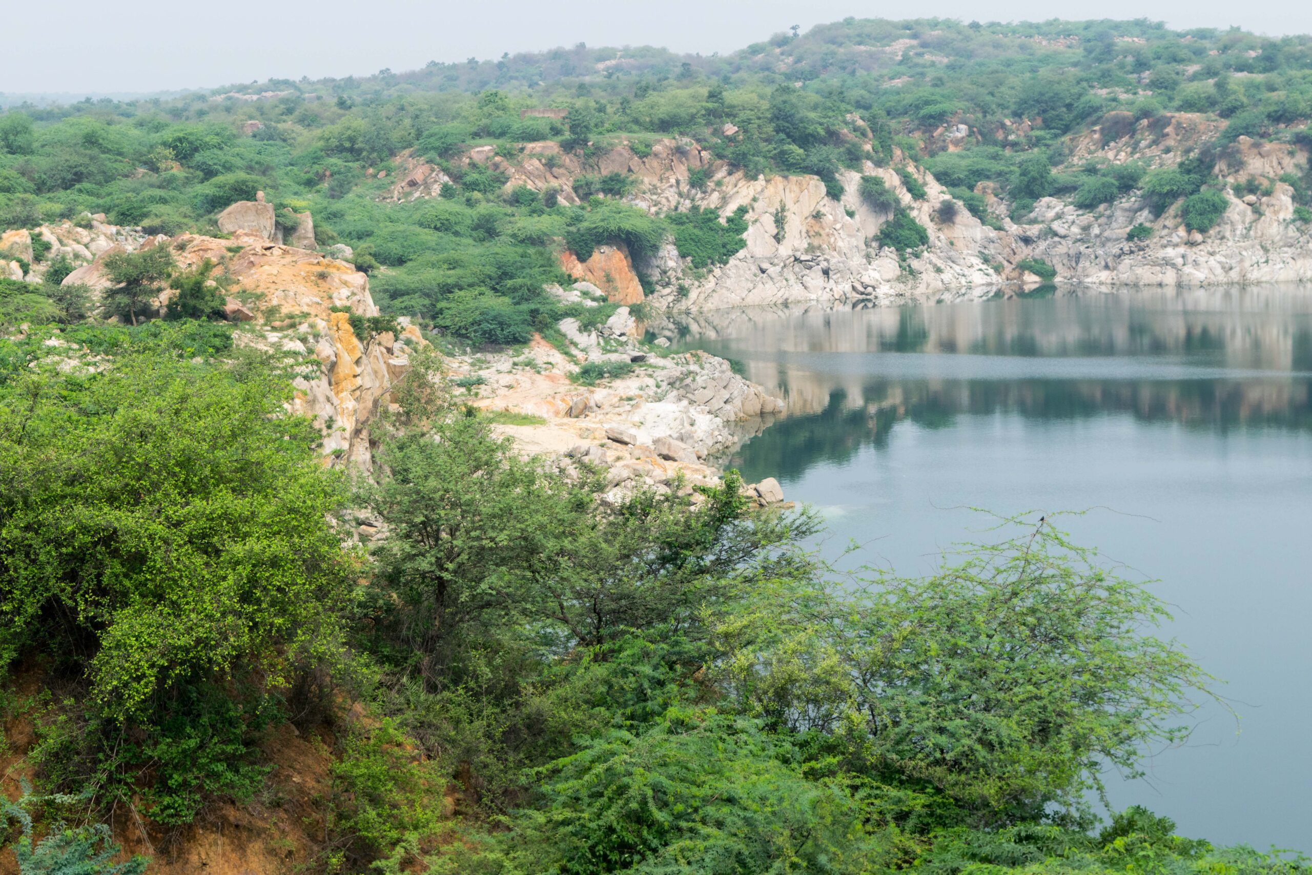Aravalli ridge ecosystem with native flora and water body in Asola Bhatti landscape