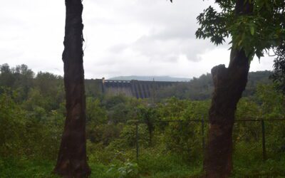 View of the Koyna Dam and its reservoir in Satara, Maharashtra