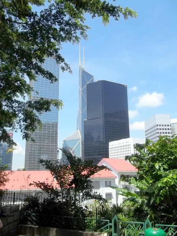 Skyline of financial district buildings rising above a city park