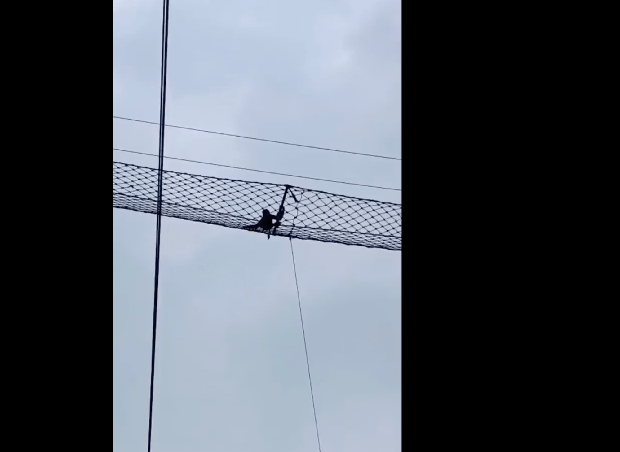 Hoolock Gibbon Canopy Bridge Assam railway
