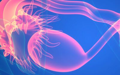 Reproductive health medical illustration