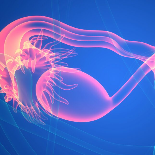 Reproductive health medical illustration