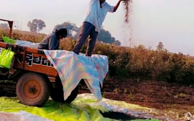 Farmer working in an Indian field