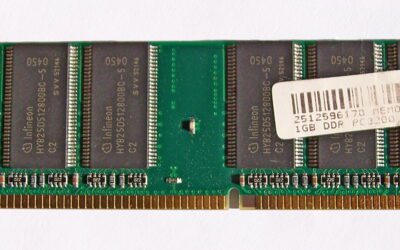 A DRAM memory module showing rows of semiconductor memory chips