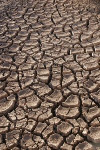'Very Strong' El Niño, FAO Index & Food Inflation for CLAT 2027