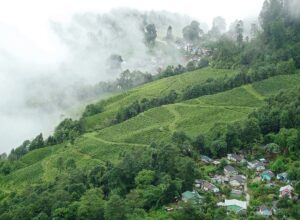 New GI Tags for Ladakh & Assam 2026 — CLAT Current Affairs | IPR & Art Culture GK