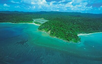Tropical rainforest meeting the coast on Great Nicobar Island
