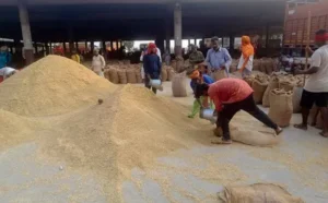 Basmati Exports Slip 25% Amid West Asia Crisis | CLAT 2026