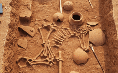 Ancient human skeletal remains excavated at an archaeological dig site