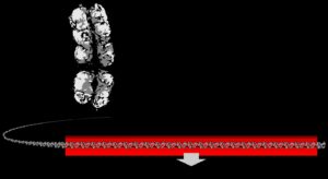 Stem Cell & Gene Therapy Under Central Drug Regulation