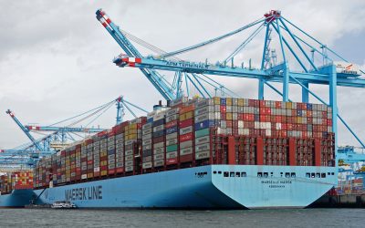 Cargo containers for export trade