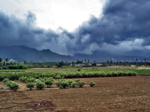 Monsoon Break & IMD Rainfall Deficit: CLAT GK Notes