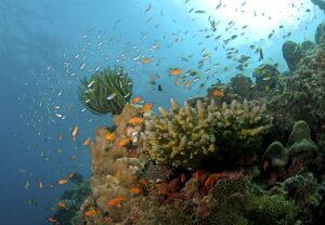 Great Nicobar's Indira Point: CRZ Clearance for Lighthouse Museum
