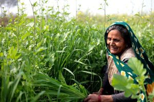 World Inequality Report 2026: India's Gender Wealth Gap