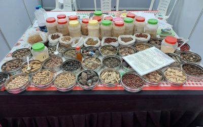 Bowls and jars of dried Ayurvedic medicinal herbs and roots displayed on a table at an exhibition