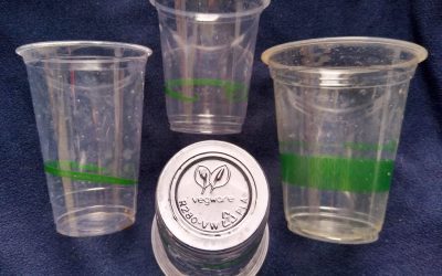 Disposable drinking cups made from polylactic acid bioplastic