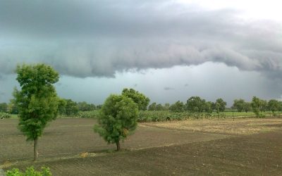 Heavy monsoon clouds gathering over open farmland with a narrow field track in the foreground
