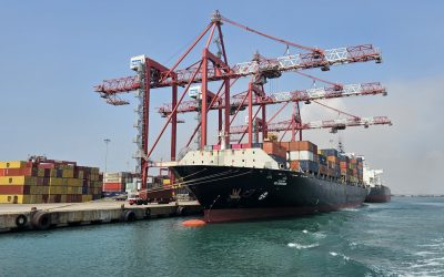 A container ship berthed under gantry cranes at a port terminal in Tuticorin