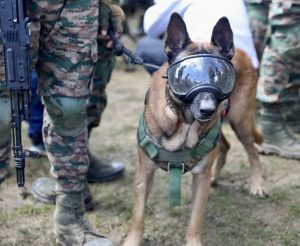 Yudh Abhyas 2026: India-US Army Exercise | CLAT GK