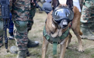 Indian Army and US Army soldiers training together during a joint military exercise