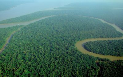 Aerial view of a river winding through the Amazon rainforest