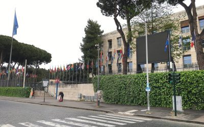 Headquarters of the Food and Agriculture Organization in Rome, with member-country flags