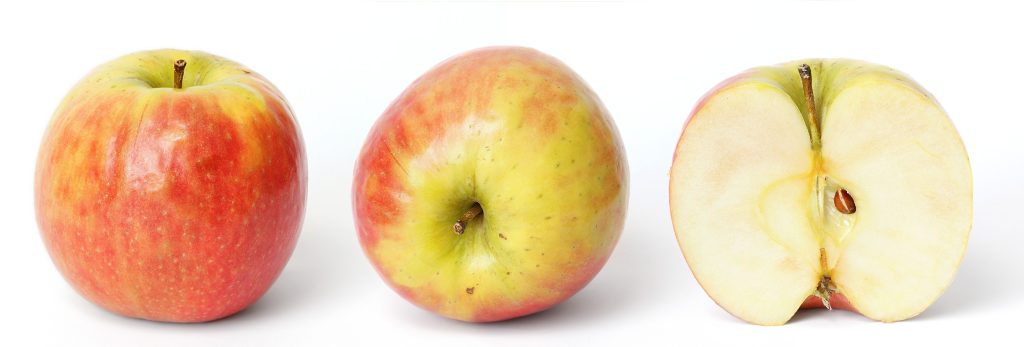 Himachal Apple Output Crashes 48% as Climate Change Bites | CLAT 2027