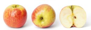 Himachal Apple Output Crashes 48% as Climate Change Bites | CLAT 2027