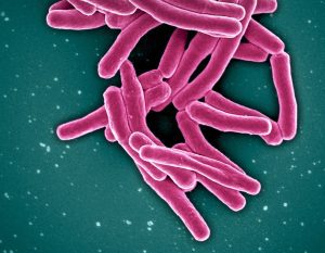 JOSH Teams Launched for Youth-Led TB Elimination | CLAT GK