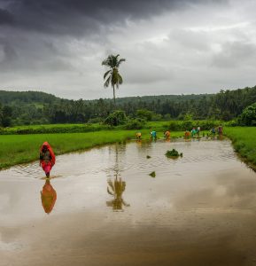 Monsoon 2026 below-normal forecast and El Nino: Explained | CLAT Explainer