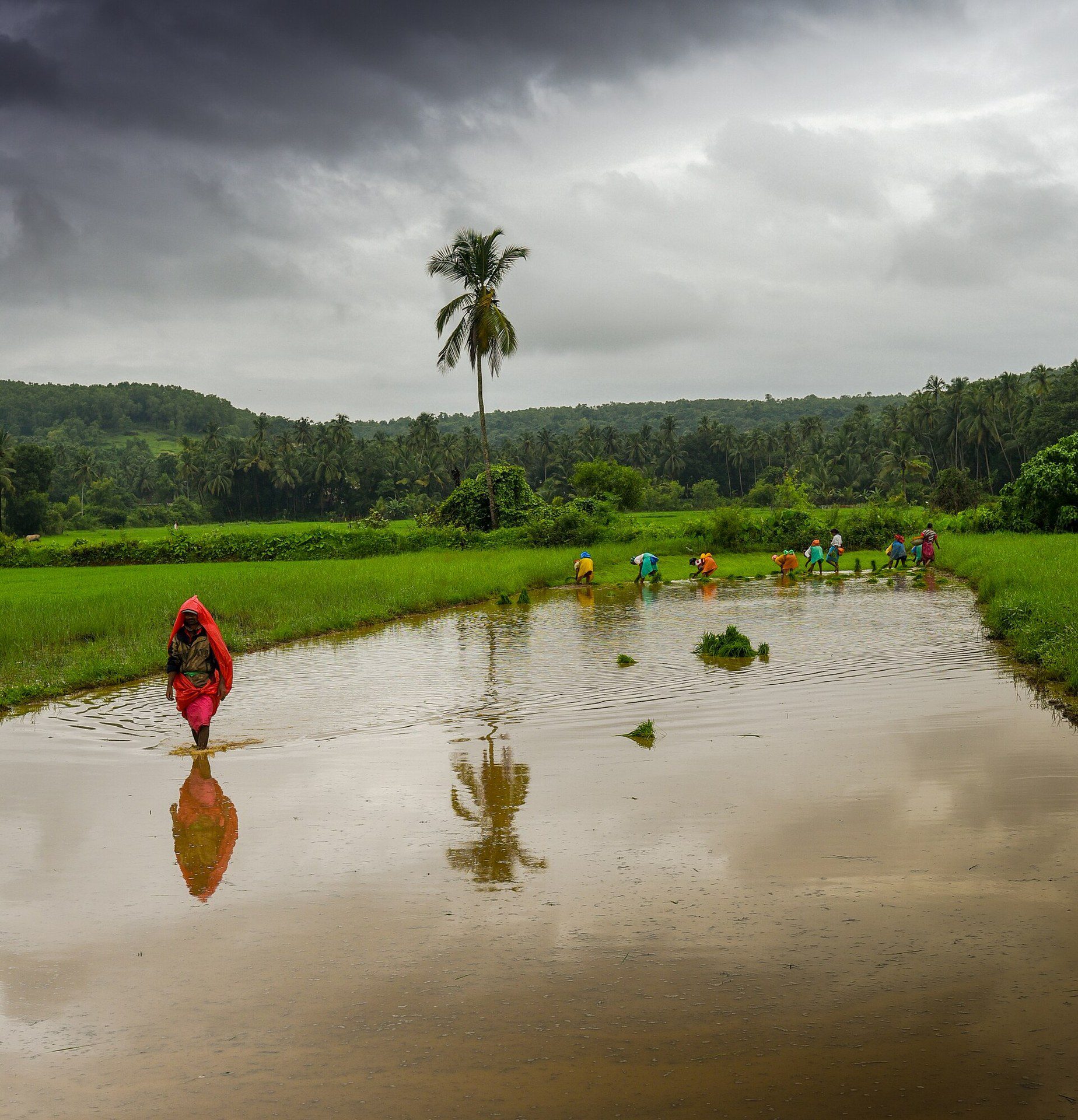 Monsoon clouds over Goa, India
