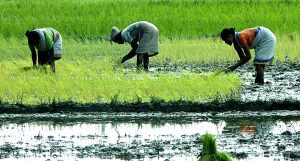 PM Dhan-Dhaanya Krishi Yojana: 100 Districts | CLAT GK