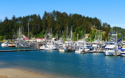 Deep-sea fishing vessels docked at a harbour marina