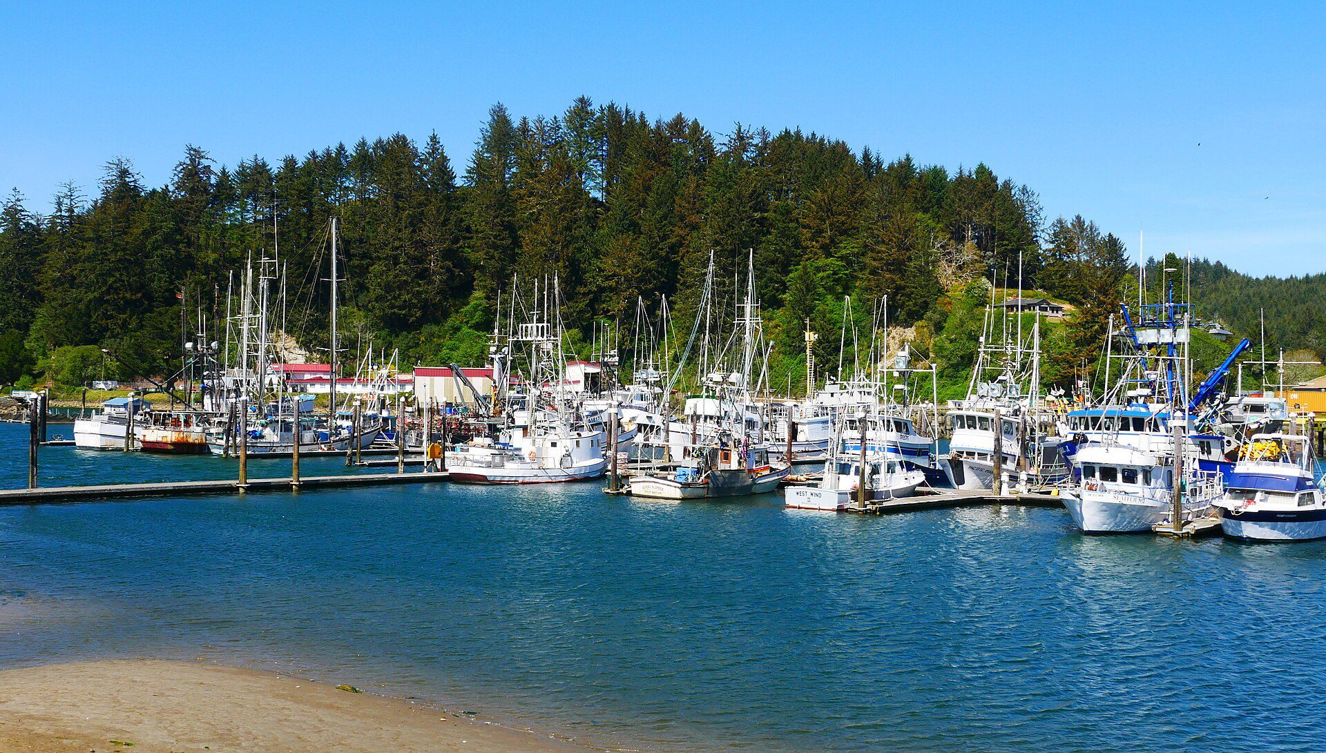 Deep-sea fishing vessels docked at a harbour marina