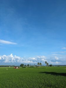 World Food Day 2026: Theme and FAO Founding Facts | CLAT GK